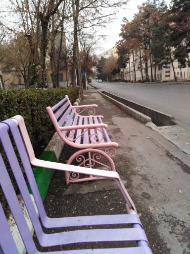 عکس  بهار 2