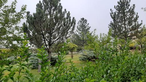 عکس پارک سالمندان نیر