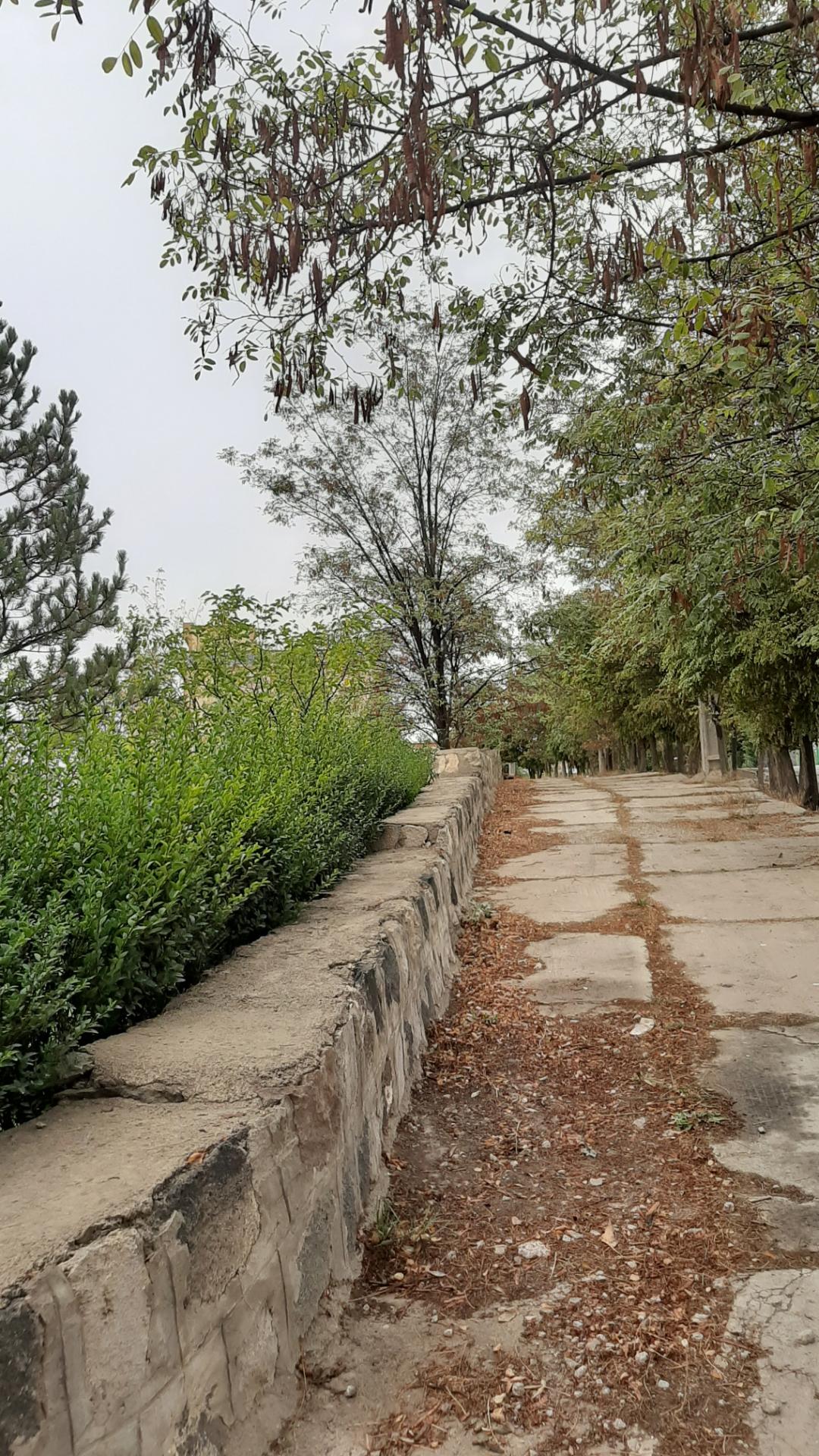 عکس پارک سالمندان نیر