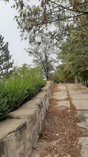 عکس پارک سالمندان نیر