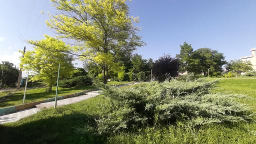 عکس پارک سالمندان نیر