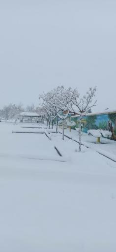 عکس پارک شقایق