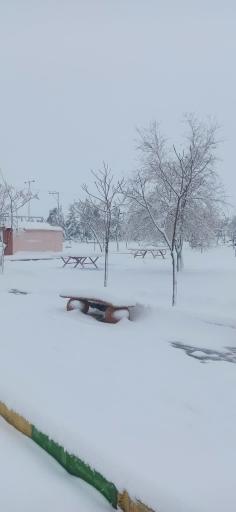 عکس پارک شقایق