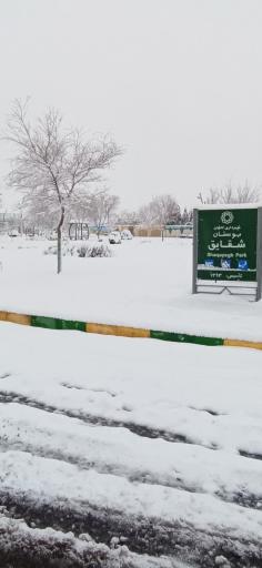 عکس پارک شقایق