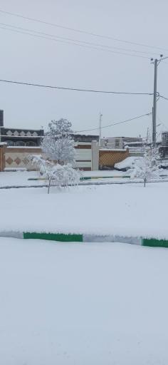 عکس پارک شقایق