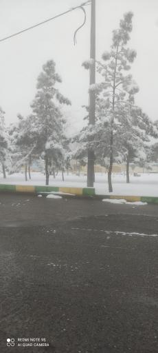 عکس پارک شقایق