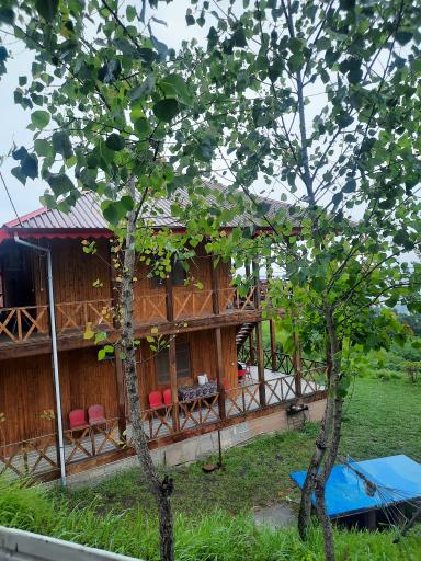 عکس اقامتگاه بومگردی بام گلسرک