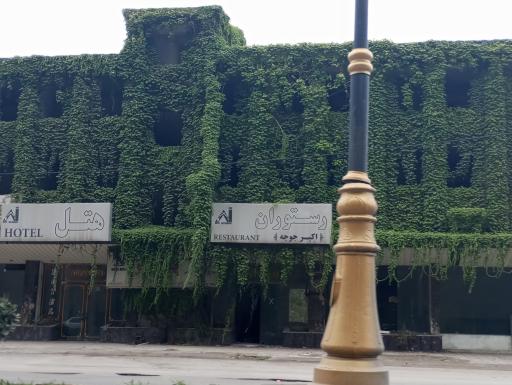 عکس بوستان جنگلی هزار پله