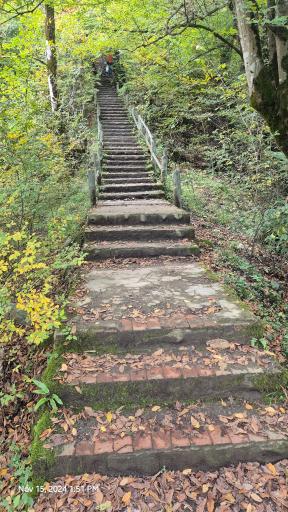 عکس بوستان جنگلی هزار پله