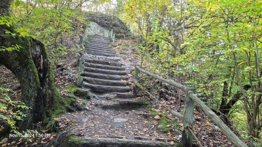 عکس بوستان جنگلی هزار پله