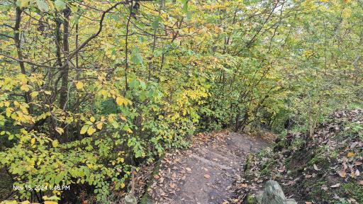 عکس بوستان جنگلی هزار پله