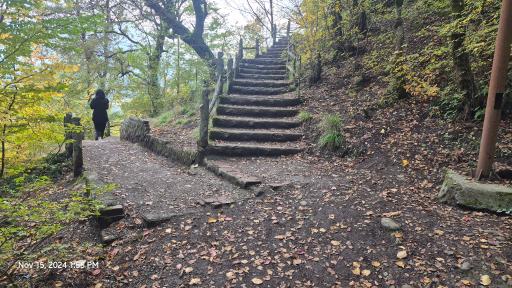 عکس بوستان جنگلی هزار پله