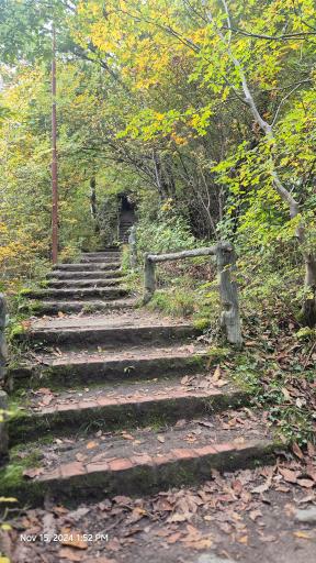 عکس بوستان جنگلی هزار پله