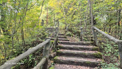 عکس بوستان جنگلی هزار پله