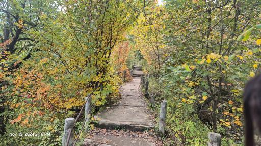 عکس بوستان جنگلی هزار پله