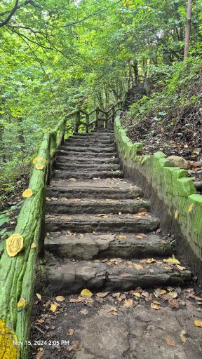 عکس بوستان جنگلی هزار پله