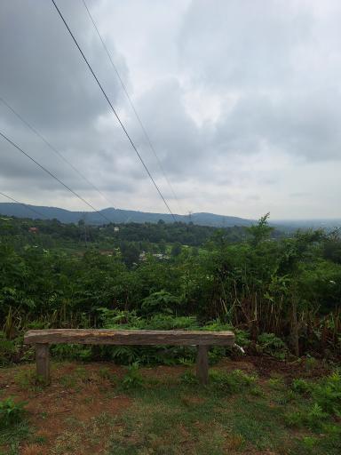 عکس اقامتگاه بومگردی بام گلسرک