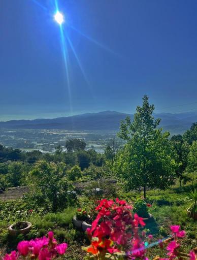 عکس اقامتگاه بومگردی بام گلسرک