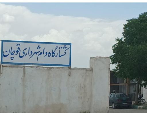عکس کشتارگاه