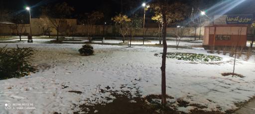 عکس پارک شقایق