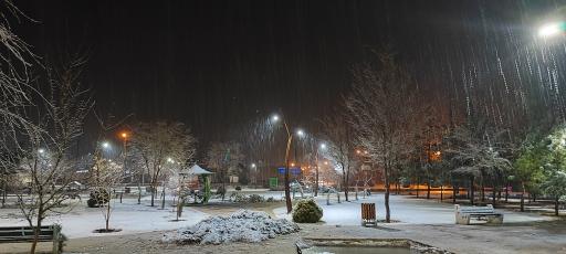 عکس پارک شقایق