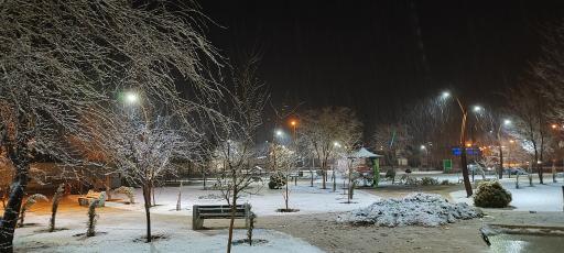 عکس پارک شقایق