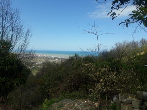 عکس بوستان جنگلی هزار پله