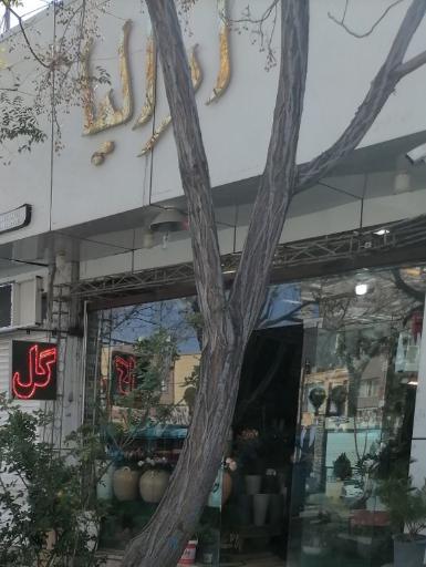 عکس گلفروشی آرالیا 