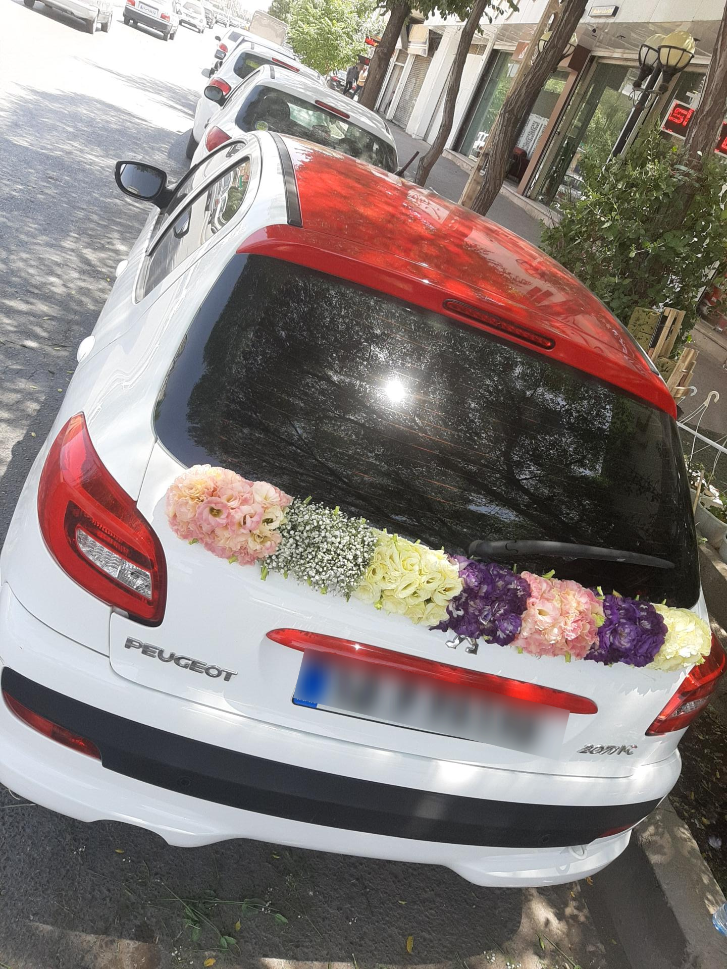 عکس گلفروشی آرالیا 