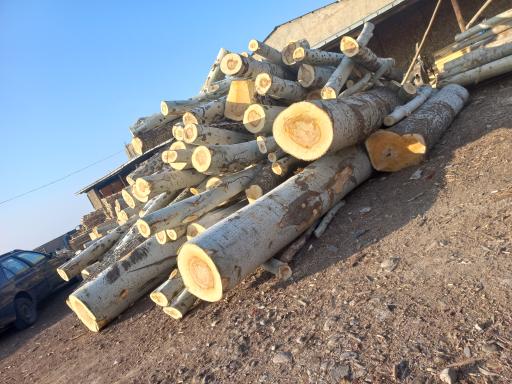 عکس صنایع چوبی عبدلی