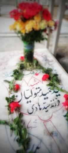 عکس مزار شهید سید حمید متولیان