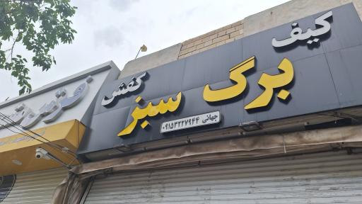 عکس کیف و کفش برگ سبز