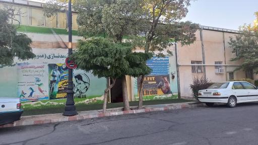عکس سالن ورزشی جام جم