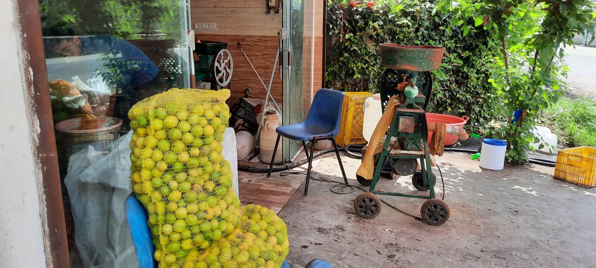 عکس آبغوره گیری عادل