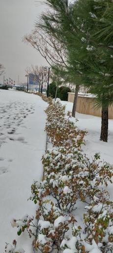 عکس شهرک نگین غرب