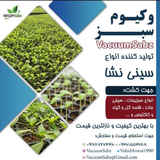 عکس وکیوم سبز