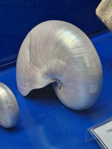 عکس مجموعه موزه های آستان قدس رضوی