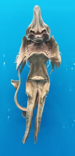 عکس مجموعه موزه های آستان قدس رضوی