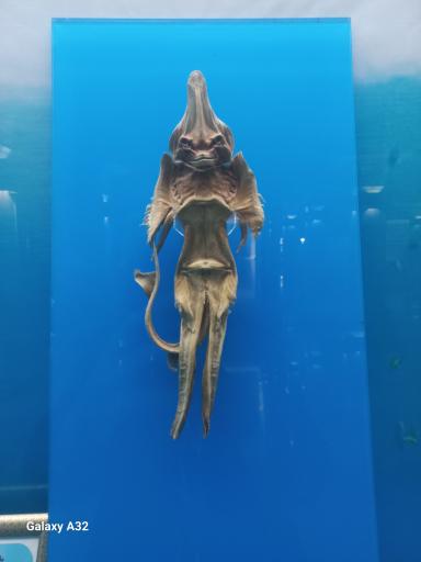 عکس مجموعه موزه های آستان قدس رضوی