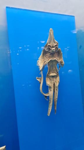 عکس مجموعه موزه های آستان قدس رضوی