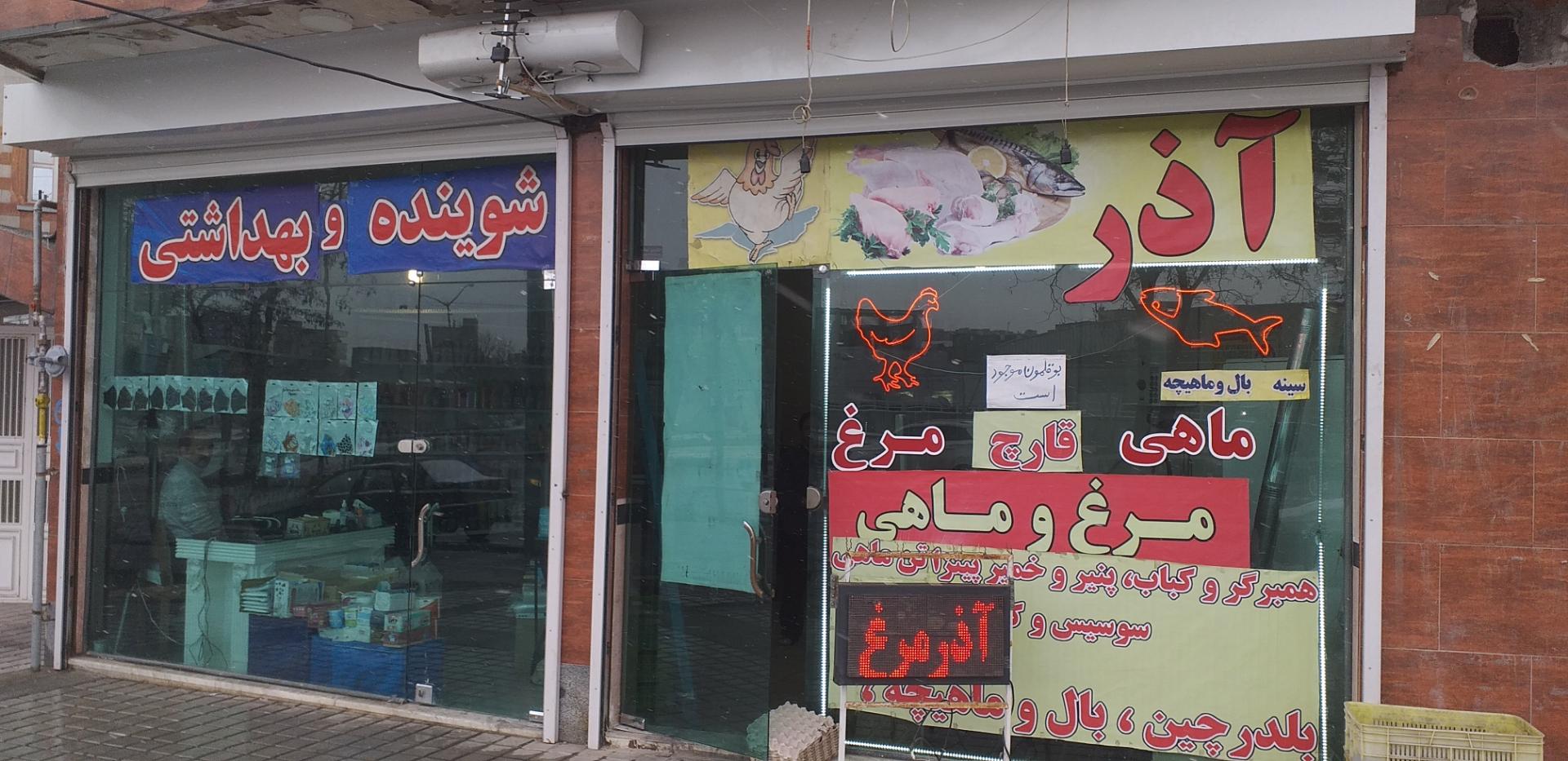 عکس آذر مرغ