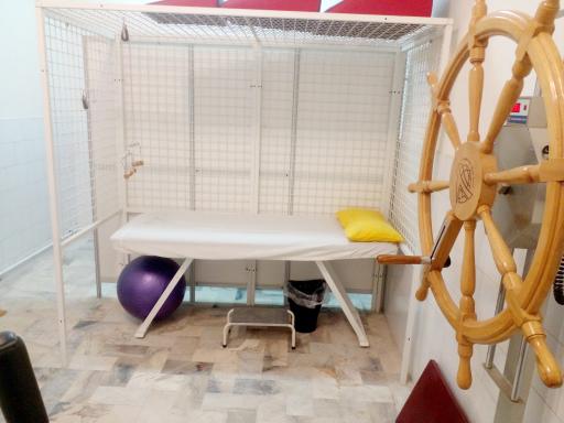 عکس کلینیک فیزیوتراپی ارم میبد 