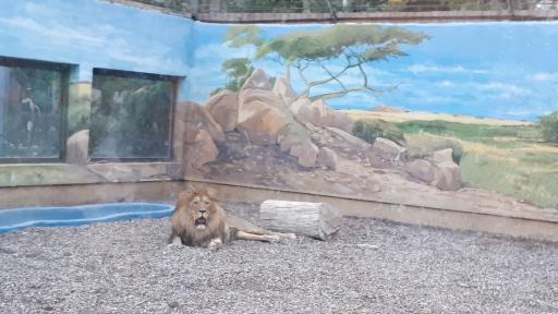 عکس موزه تاریخ طبیعی و تنوع زیستی