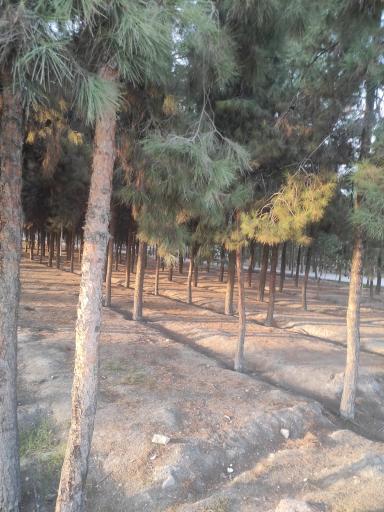 عکس بوستان سلام