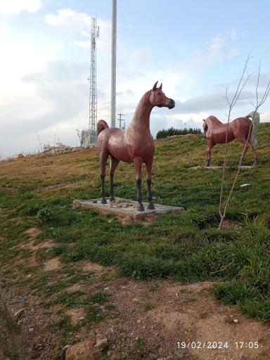 عکس پارک بوستان