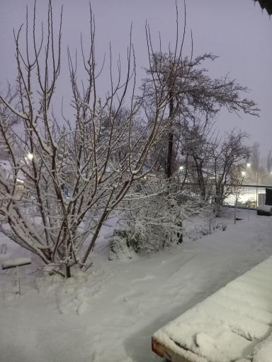 عکس مس سرچشمه