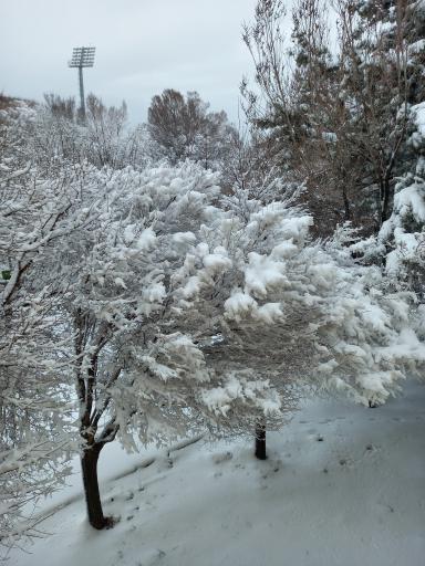 عکس مس سرچشمه