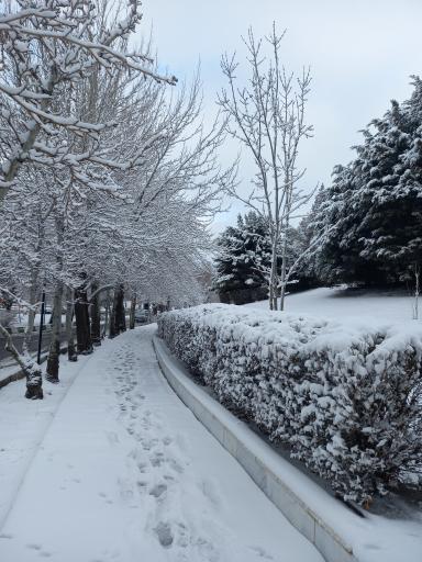 عکس مس سرچشمه