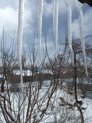 عکس مس سرچشمه