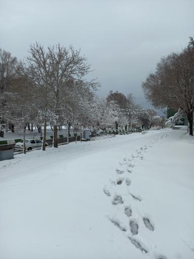 عکس مس سرچشمه